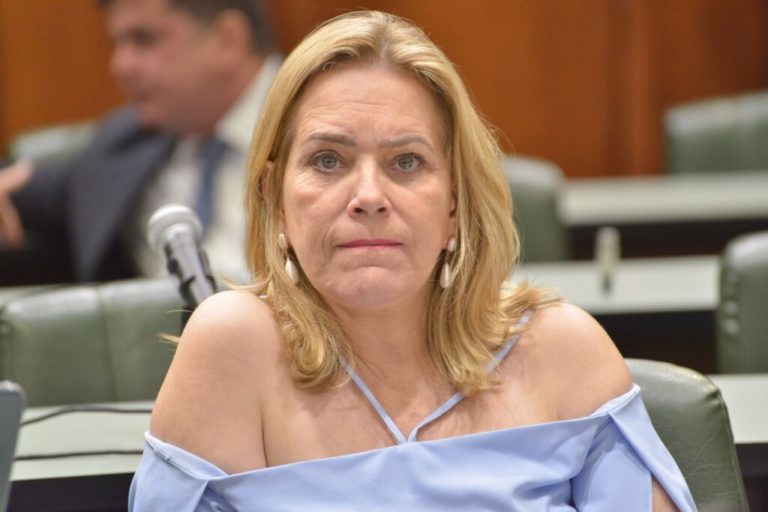 Autor de “jingle” acusa a candidata Leda Borges de plágio