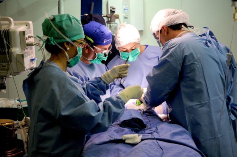 Reforço no time de servidores efetivos