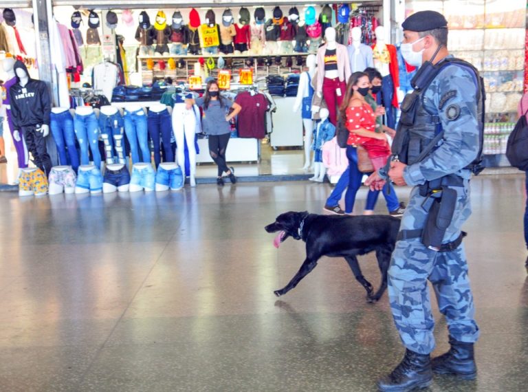 Policiamento com cães, o diferencial no combate às drogas