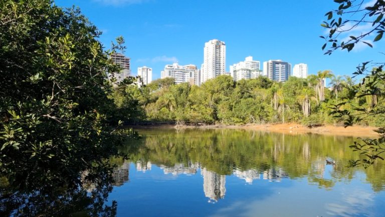 Confira o que abre e fecha no Dia do Servidor Público