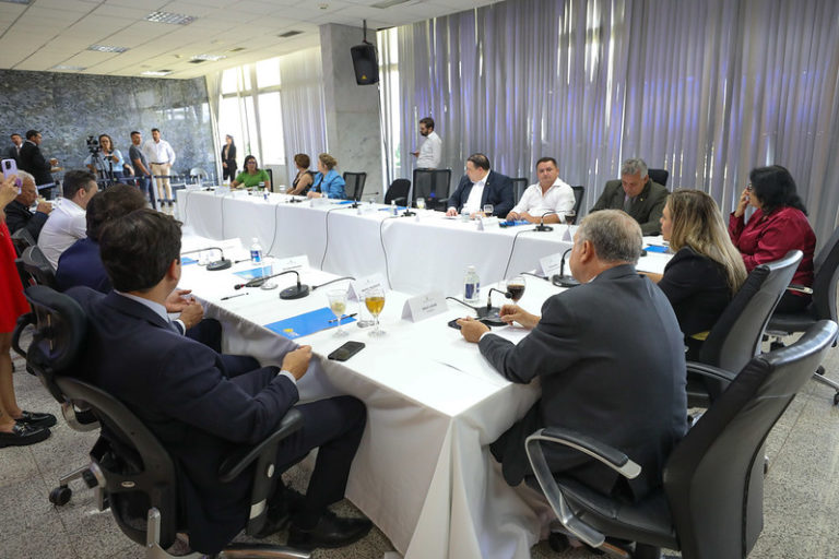 Celina Leão e bancada federal tratam de saúde e segurança do DF