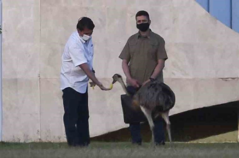 Bolsonaro ficará inelegível, mas não deve ser preso, dizem ministros do STF e do STJ