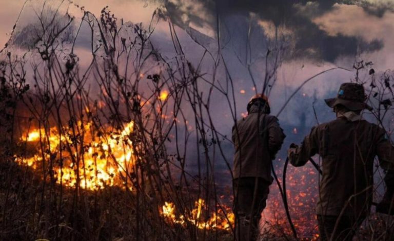 Oposição culpa governo Lula por incêndios no Pantanal