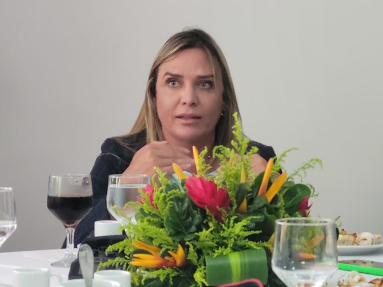 Gratidão: “Essa palavra define nosso primeiro ano de governo pós reeleição”, diz Celina Leão