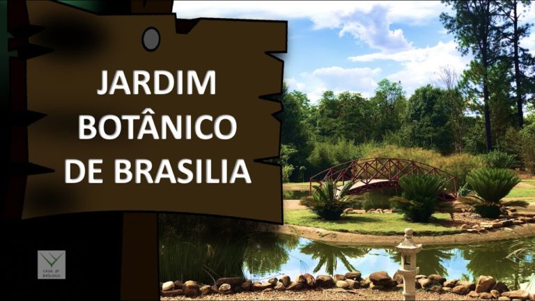 Oficina do Plano Diretor no Jardim Botânico será nesta terça (5)