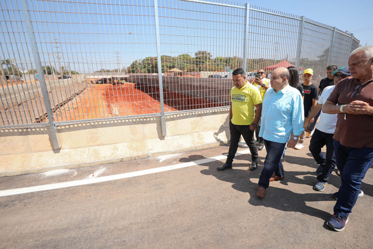Primeiro trecho do novo viaduto do Jardim Botânico é liberado para trânsito