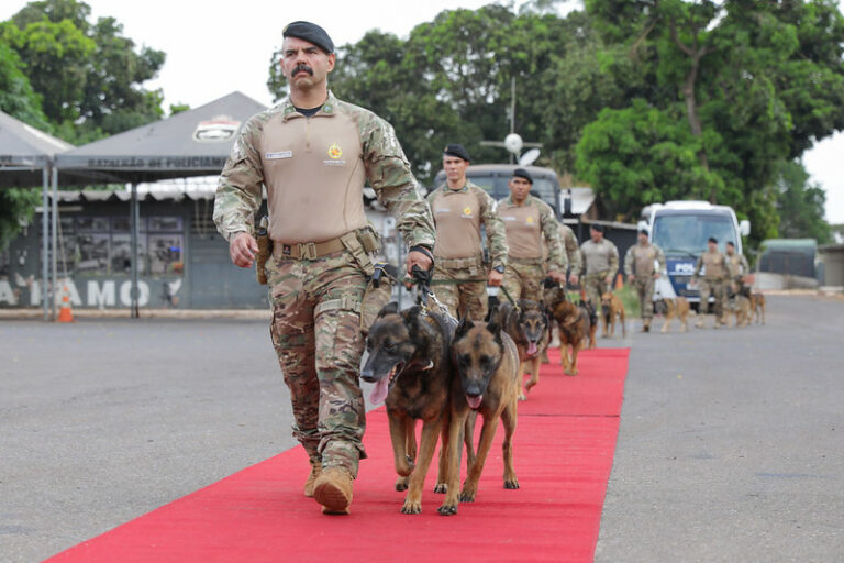 Cães da Polícia Militar do DF recebem homenagem antes de aposentadoria