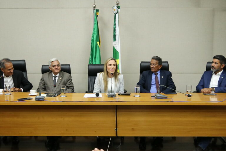 Com a presença da vice-governadora Celina Leão, nova Diretoria da ABBP é empossada para o biênio 2025/2026