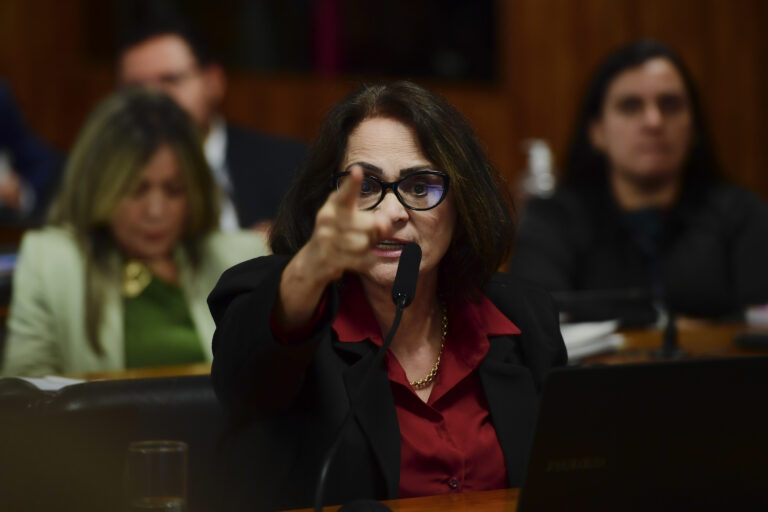 CDH do Senado aprova porte de arma para mulheres sob medida protetiva