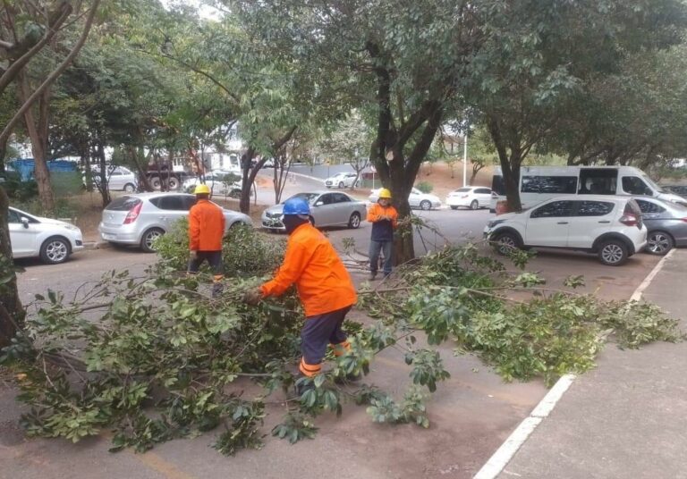 Mutirão de Limpeza no Plano Piloto recolhe mais de 56 toneladas de resíduos em apenas cinco dias
