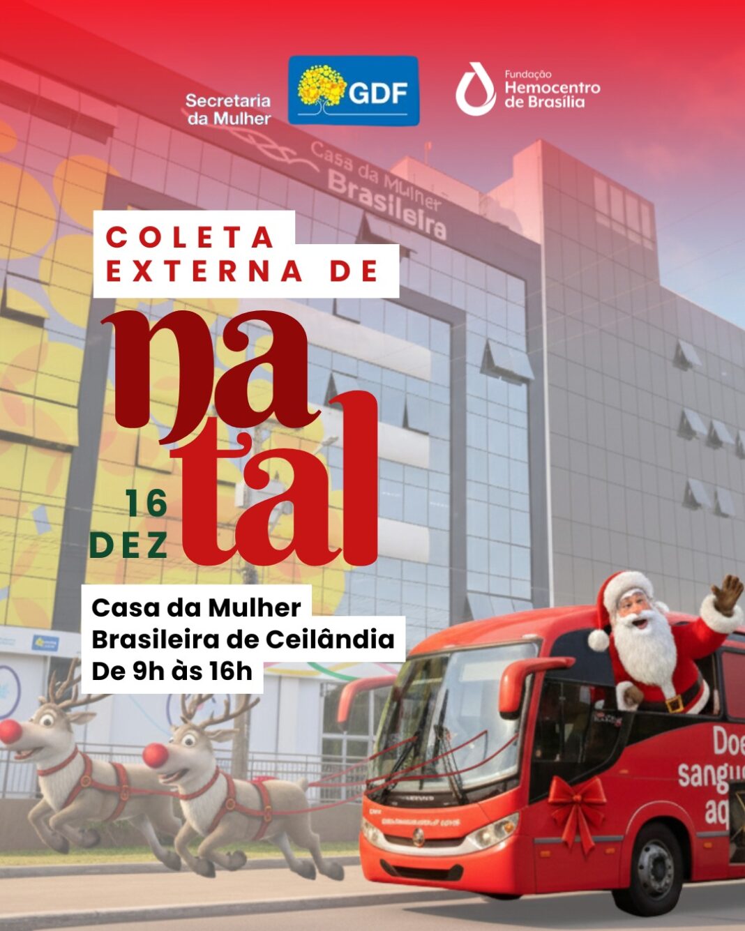 WhatsApp Image 2025-12-12 at 15.22.25