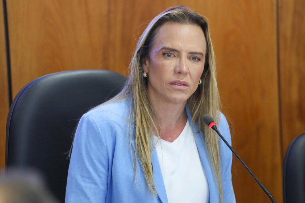 CELINA E FEIRAS